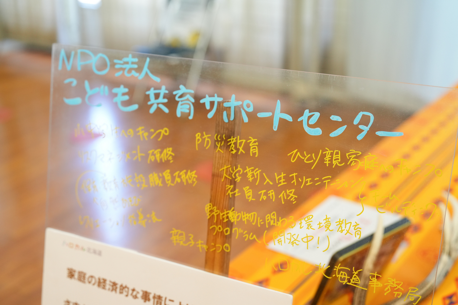 ニュースポーツ縁日